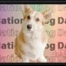 National Dog Day