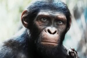 Planet of the Apes