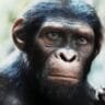 Planet of the Apes